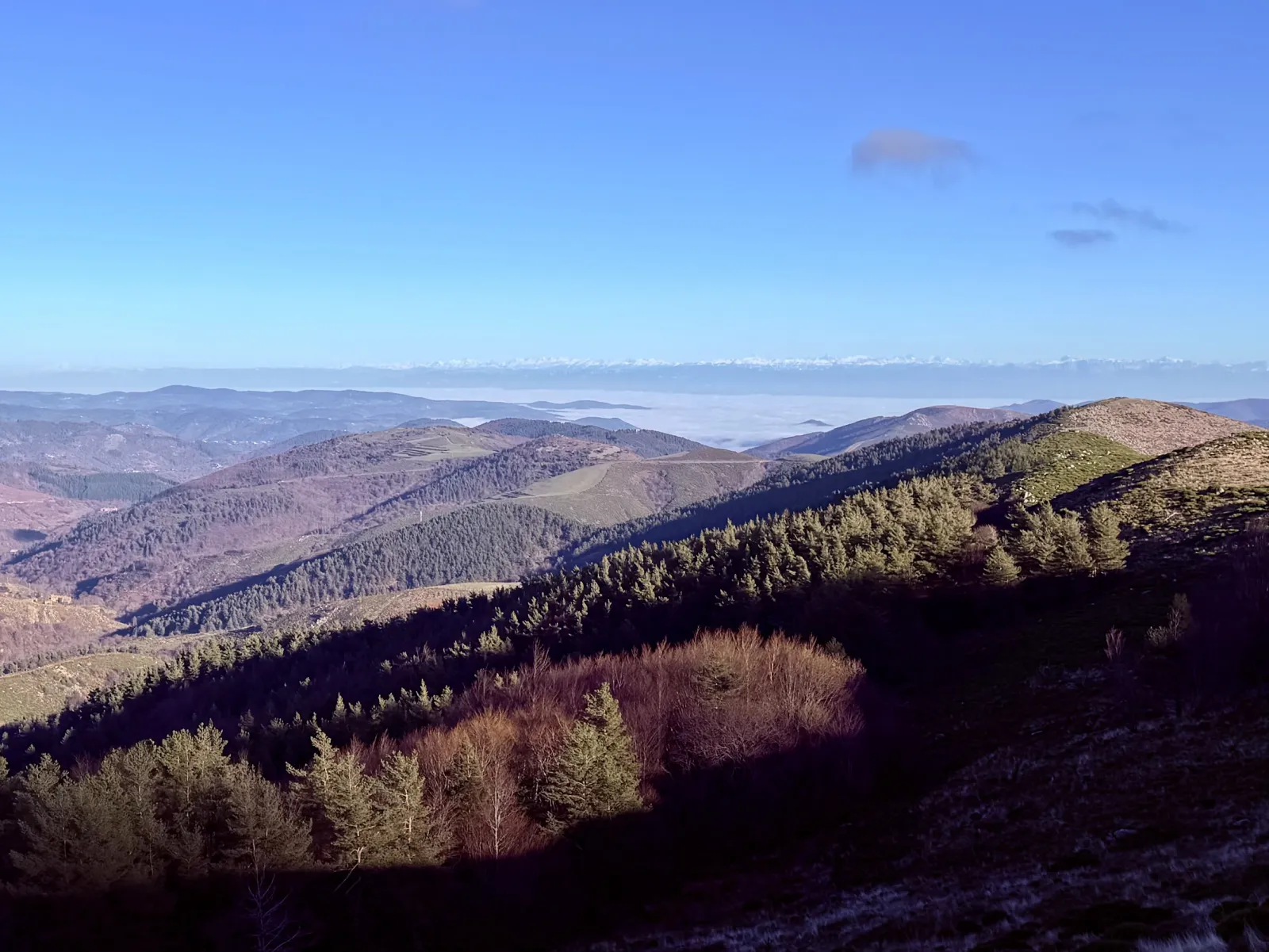 Monts d'Ardèche