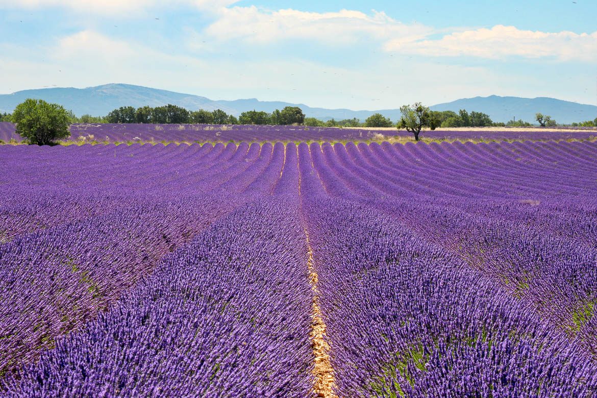 Drôme provençale, Nyons et Buis-les-Baronnies