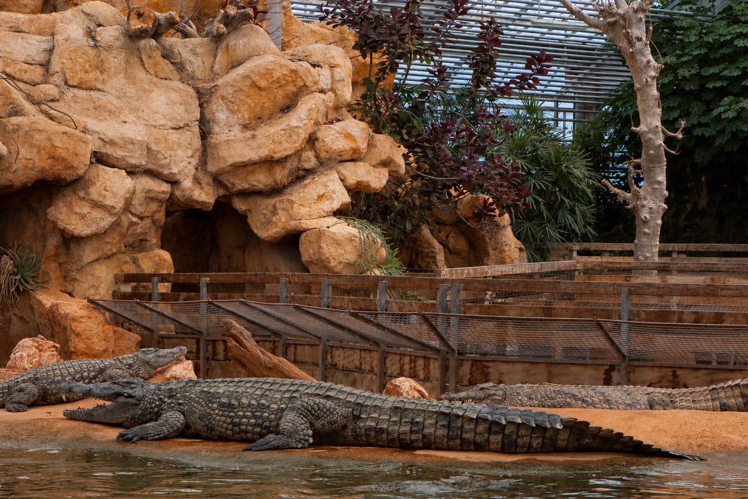 Ferme aux Crocodiles de Pierrelatte