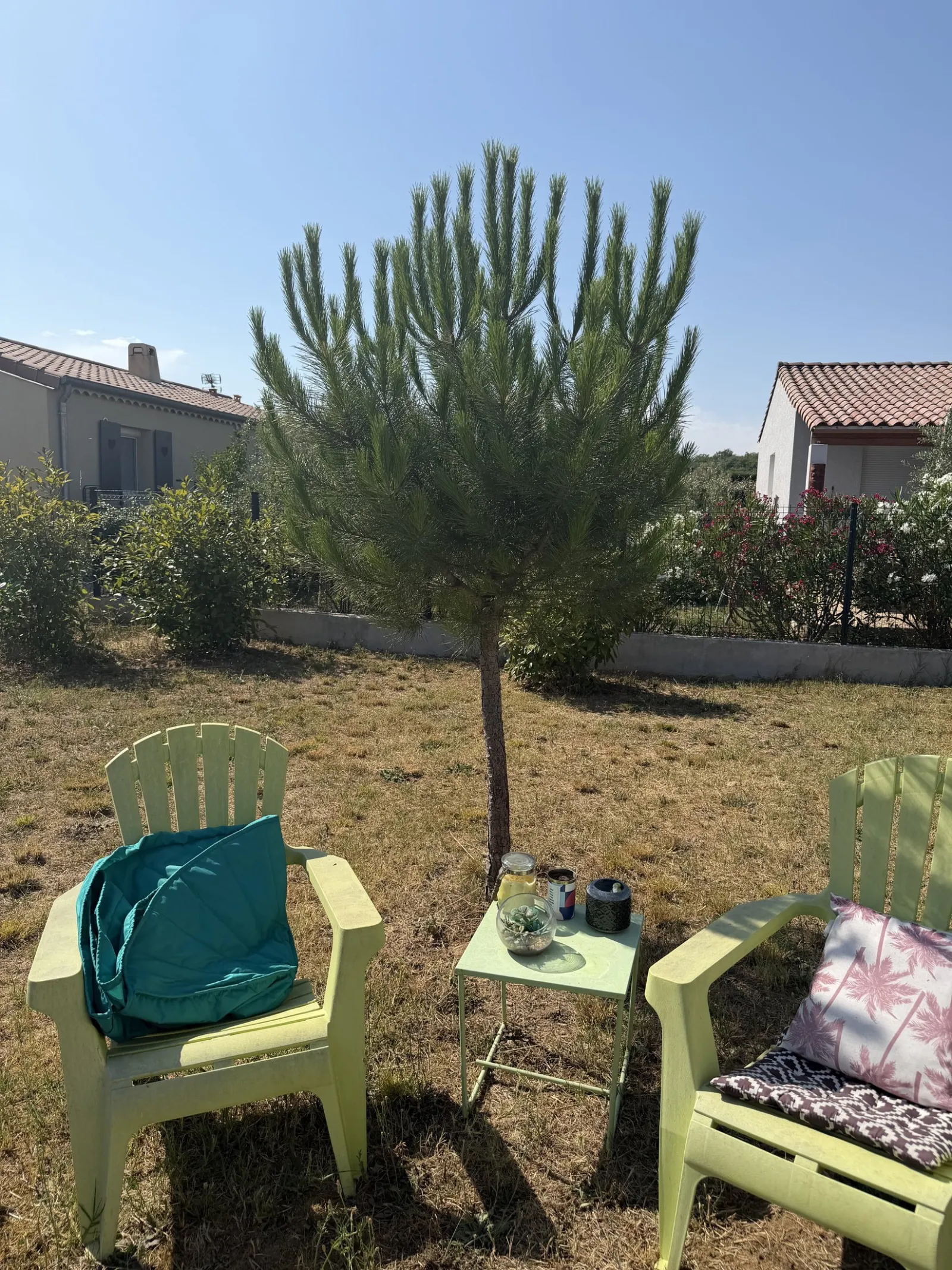 Coin détente avec transats près de la piscine du gîte Les Cabritas Sud Ardèche